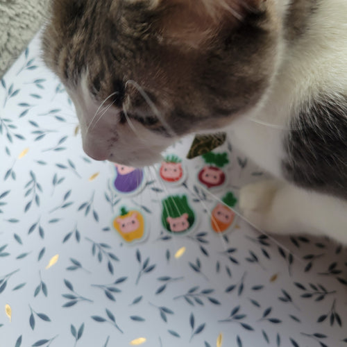 Eat Ya Veggies Sticker Set