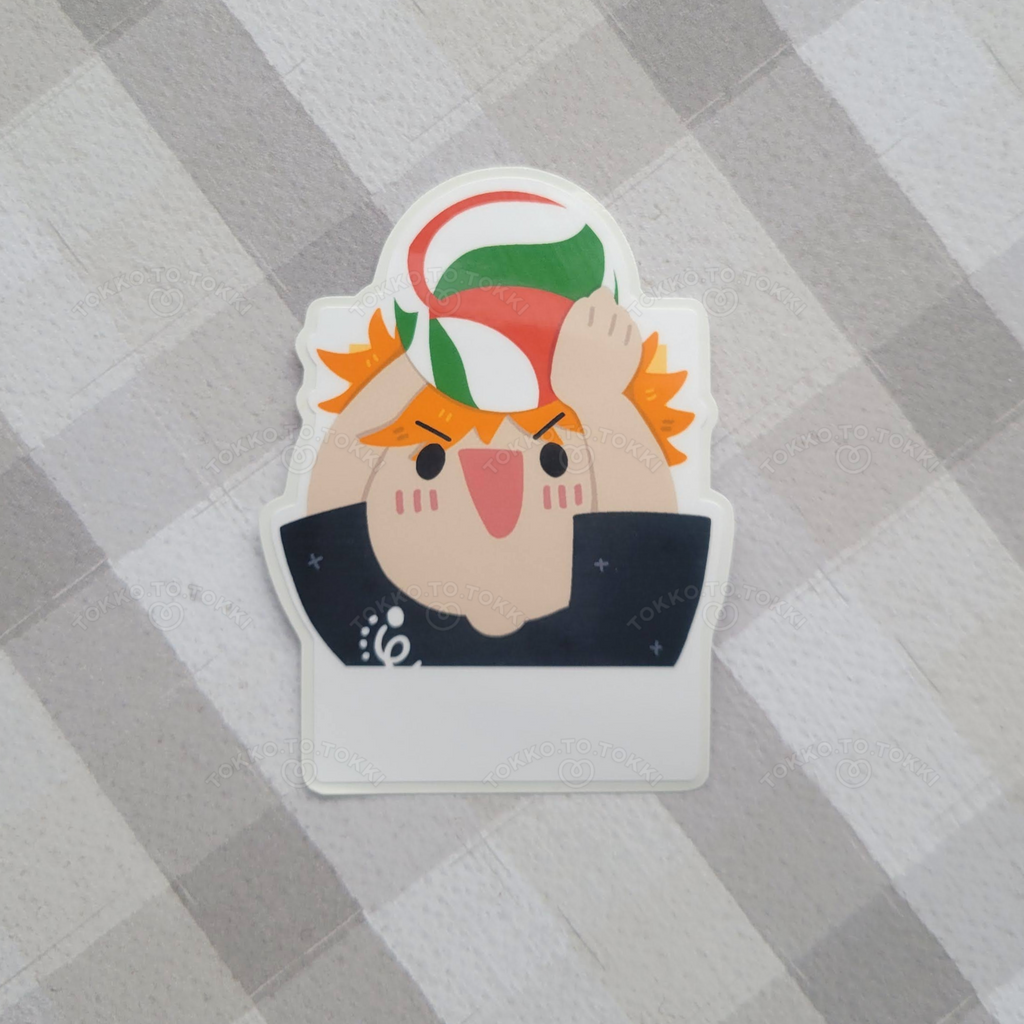 Volleyball Boys Polaroid Stickers