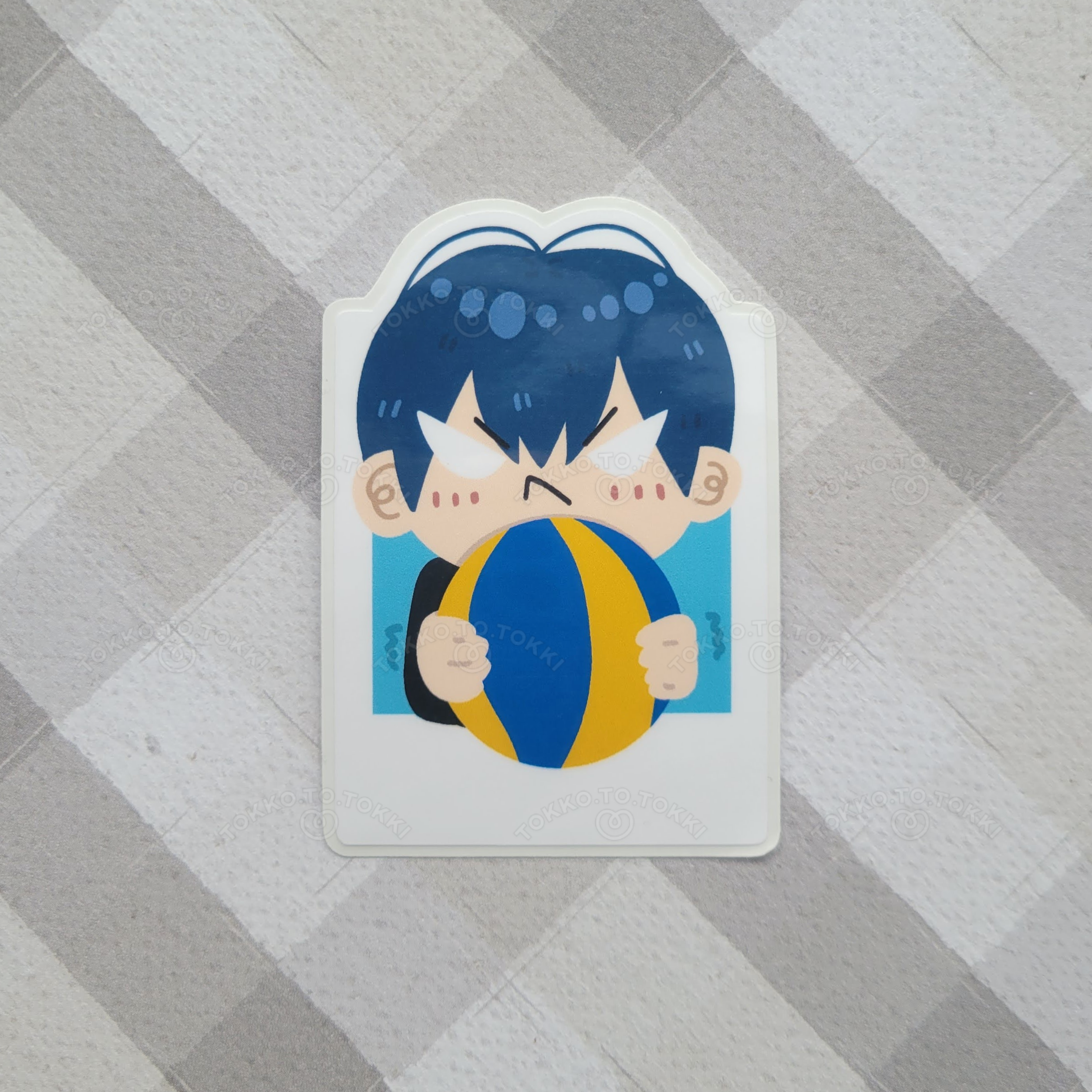 Volleyball Boys Polaroid Stickers